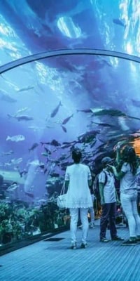 Jakarta Aquarium Admission Ticket